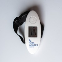 Mini Digital Scale